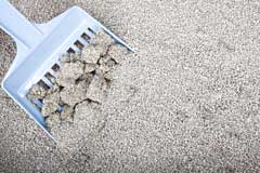 Keeping the litter box clean is an important element